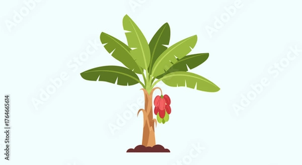 Fototapeta Cartoon banana tree with green leaves and hanging fruit on a light blue background
