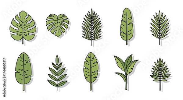 Fototapeta Collection of ten different green leaves with black outlines and shadows on a white background