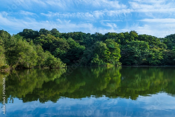 Fototapeta 東京　石神井公園３