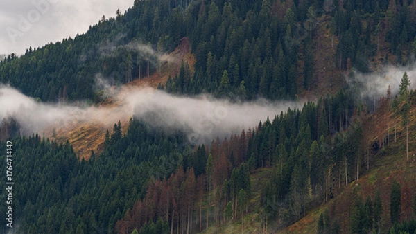 Fototapeta Beautiful mist-covered autumn landscapes in the Dolomites, Italy.- trees, mist, fog, and churches