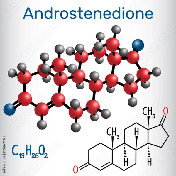 Fototapeta Androstenedione (androgen steroid hormone ) - structural chemical formula and molecule model