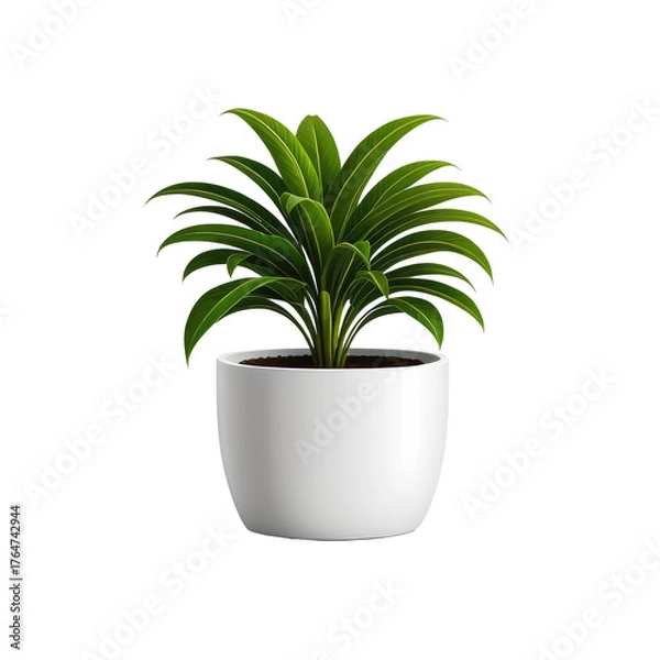 Fototapeta Digitally rendered green plant in a white pot, isolated on black