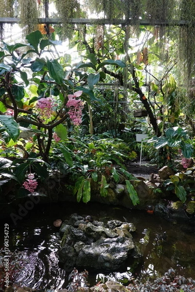 Obraz Spring Botanical Garden in Belgium