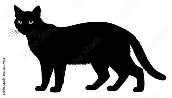 Fototapeta Minimalist black cat graphic with bright yellow eyes peering from the dark, and white whiskers