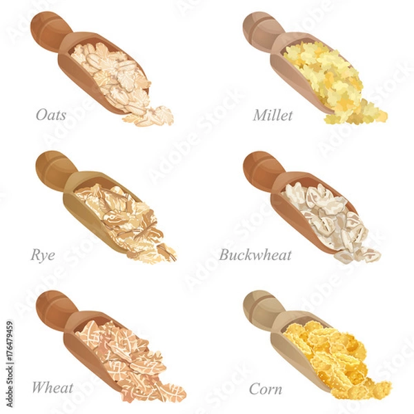 Fototapeta Six shovels with different cereal flakes part one / There are corn, oats, rye, wheat, millet and buckwheat flakes in shovels
