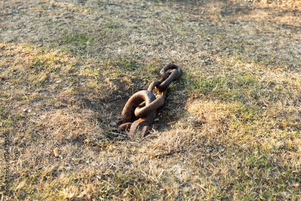 Fototapeta Rusty iron chain in the ground close-up. Meadow next to a river in Pirna, Germany. Old metal chain part for boats.