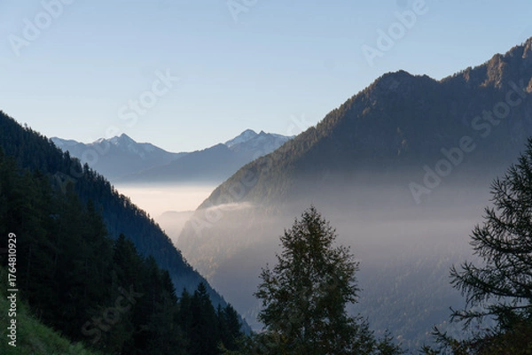 Obraz Morgennbebel im Puschlav