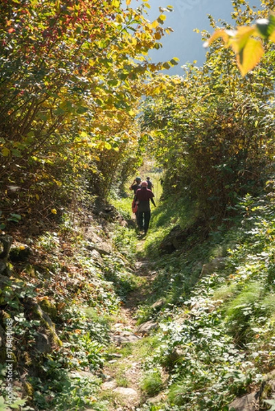 Obraz Wanderweg im Puschlav