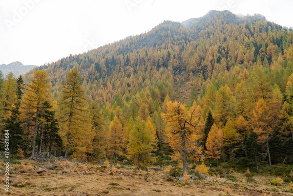 Obraz Blick richtung Cornasc