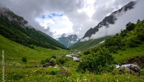 Obraz Mountain valley meadow with a stream