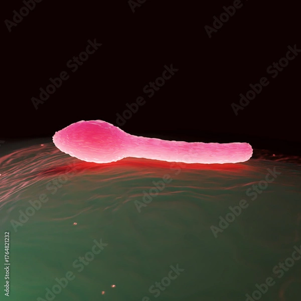Obraz Clostridium Tetani Bacterium Microscopic 3D Render
