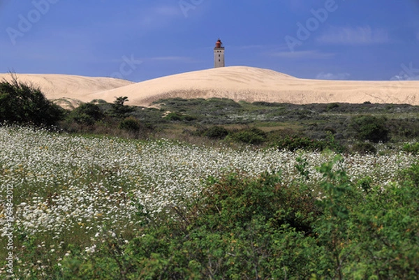 Fototapeta Landscape photo with a view of the Rubjerg Knude lighthouse (also known as the "Lighthouse in the Dunes") with sand dunes and meadow with white flowers in the foreground near Lokken in Denmark