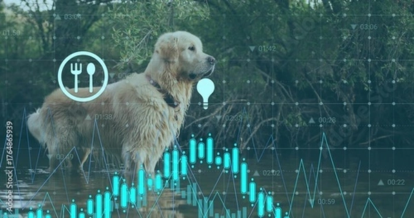 Fototapeta Wading golden retriever navigating creek water at wooded stream bank, with digital data overlays
