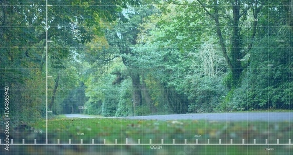Fototapeta Cutting paved asphalt road slicing through woodland, with grassy verge, fallen leaves and foliage