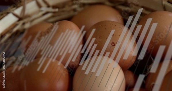 Fototapeta Cluster of brown eggs nestling in wicker basket in pantry, with straw lining and graphic bars