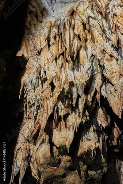 Fototapeta Vadu Crisului Cave in Bihor, Romania, features impressive limestone formations. Stalactites hang from the ceiling, while stalagmites rise from the floor, some meeting to form columns