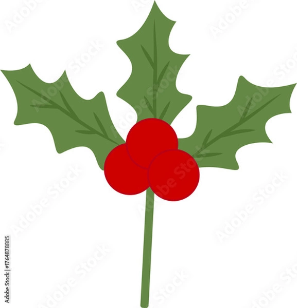 Obraz christmas holly with red berries