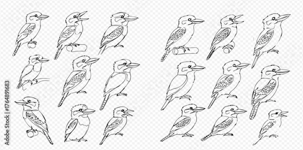 Obraz Collection of hand-drawn line art illustrations featuring various kingfisher birds in different poses.