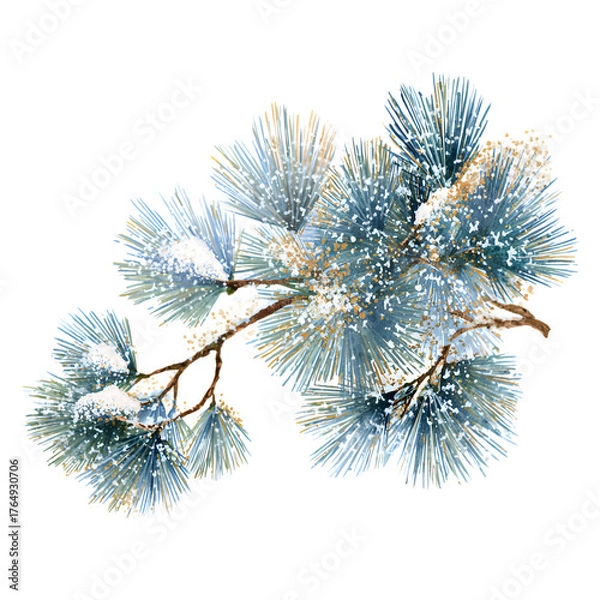 Obraz Snowy pine branch isolated on black isolated on transparent background