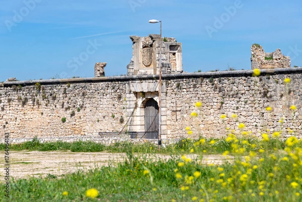 Obraz The medieval stone wall and entrance of the weathered Castillo de los Condes in Chinchón, Spain, framed by a lively field of yellow wildflowers and surrounded by a dirt road