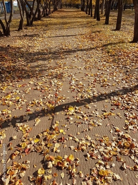 Obraz Опавшая листва