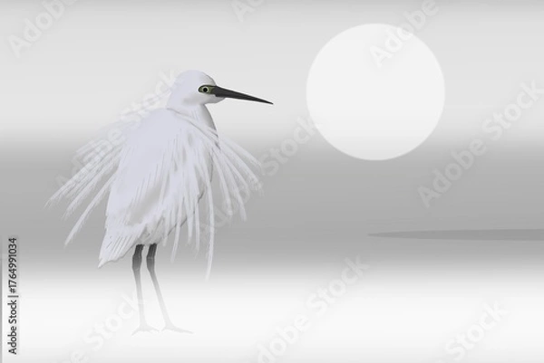 Obraz The little egret (Egretta garzetta) stands in the morning fog on a lake