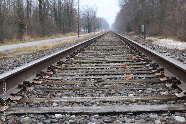 Obraz Straight Railroad Track Through Winter Trees