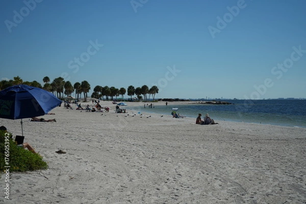 Obraz Fred Howard Beach in Tarpon Springs Florida