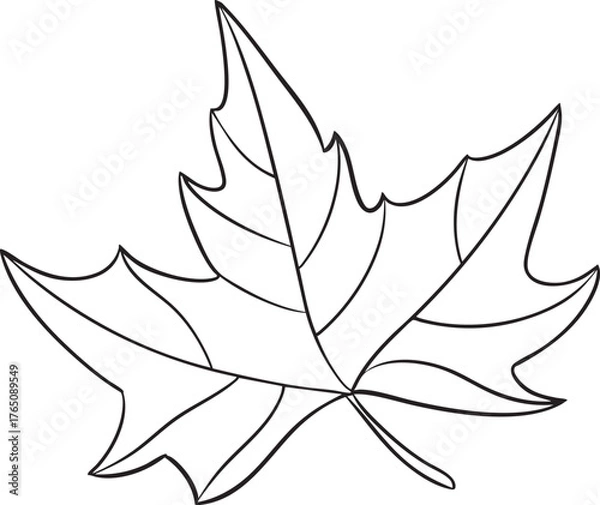 Obraz Vector maple leaf illustration