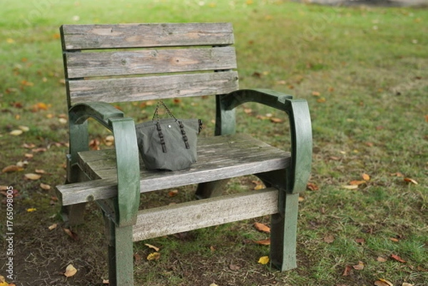 Fototapeta A green bench with a brown wooden frame sits in a grassy field