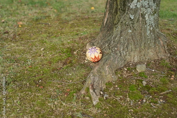 Fototapeta A small orange and purple ball is sitting on the ground next to a tree
