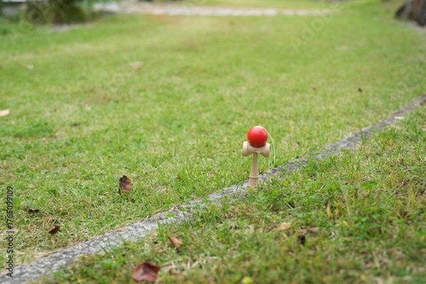 Fototapeta A red ball is sitting on a wooden post in a grassy field