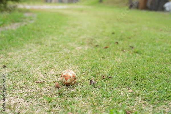 Fototapeta A ball is sitting on the grass in a field