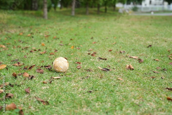 Fototapeta A baseball is sitting on the grass in a park