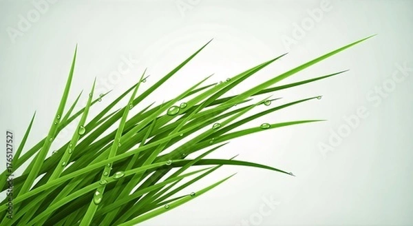 Fototapeta Vibrant Green Grass Blades with Dew Drops on a White Background.