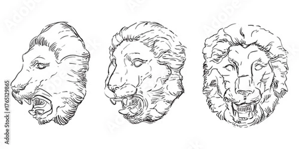 Obraz Hand drawing lion heads vector illustration