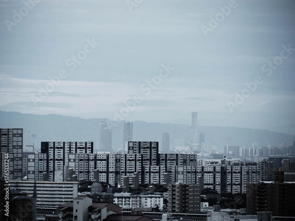 Fototapeta 早朝神戸岡本の高台から芦屋の高層マンション群、背景は生駒山系をのぞむ