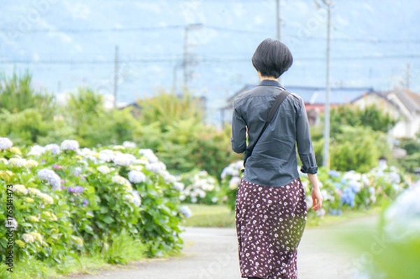 Fototapeta あじさいの季節に花道を歩く女性の静かな背中