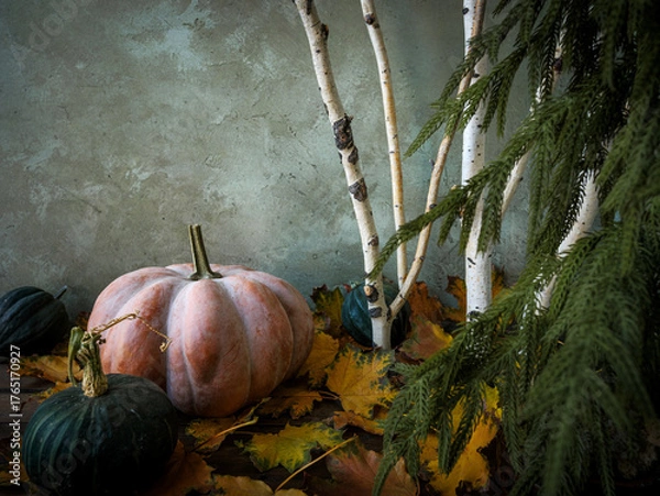 Obraz Fall rustic brown wood plank table with birch tree branches and festive autumn pumpkin and gourds, evergreen Norfolk pine tree and gold autumn leaves. Seasonal holiday decorations.