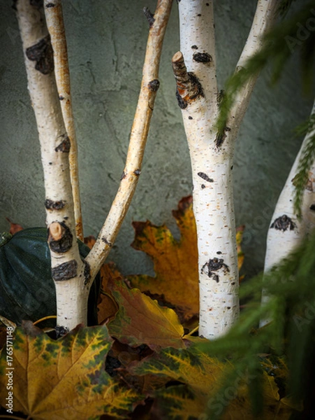 Obraz Fall rustic brown wood plank table with birch tree branches and festive autumn gourds, evergreen Norfolk pine tree and gold autumn leaves. Seasonal holiday decorations.