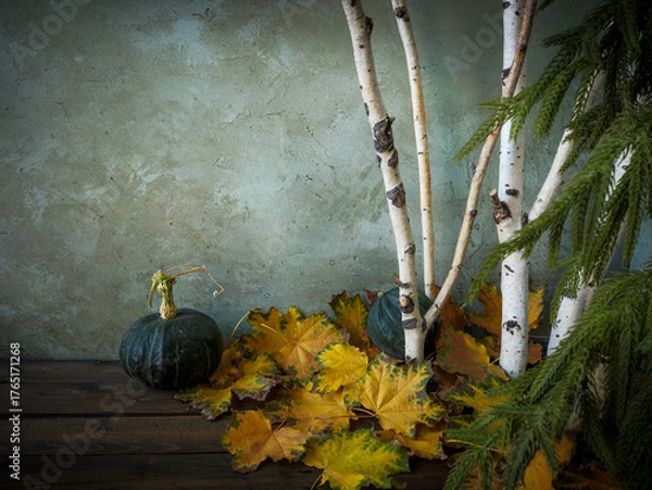 Obraz Fall rustic brown wood plank table with birch tree branches and festive autumn harvest squash, evergreen Norfolk pine tree and gold autumn leaves. Seasonal holiday decorations.