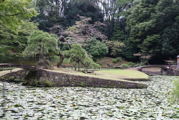 Obraz 小石川後楽園。水戸徳川家の上屋敷の回遊式築山泉水庭園。内庭。