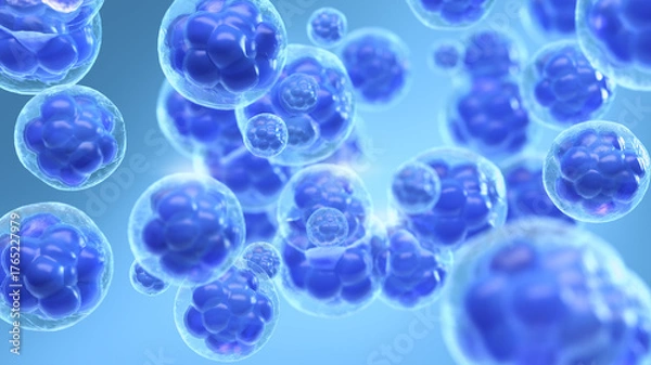 Fototapeta 3D rendered microscopic view of blue cellular structures, Embryonic stem cell  background