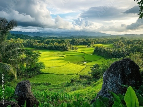 Fototapeta Lush rice paddies stretch across a valley, framed by tropical vegetation and mountains