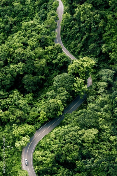 Fototapeta Road in the middle of the forest , Aerial view green forest and asphalt road, Top view forest road going through forest with car