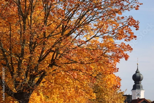Fototapeta Autumn in the Village