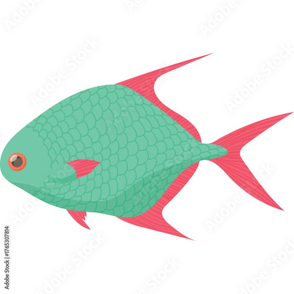 Obraz Teal Fish With Pink Fins And Orange Eye Detailed Scales Side View Ocean Life Illustration Against White Background