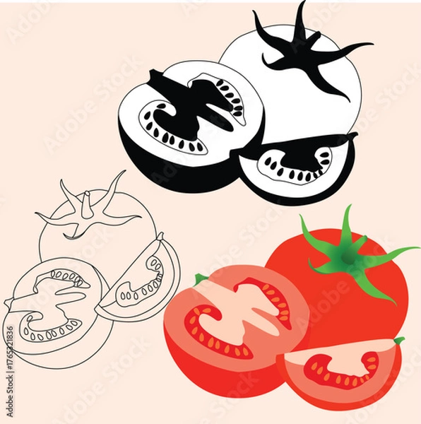 Obraz Realstic Tomato Vector Line Art Illustration