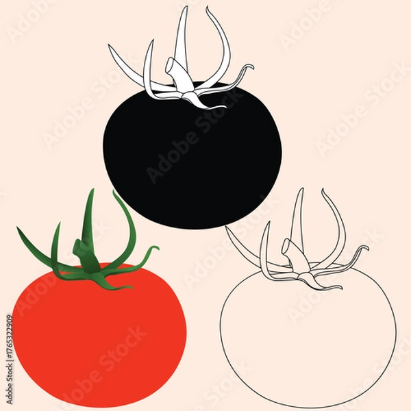Obraz Realstic Tomato Vector Line Art Illustration