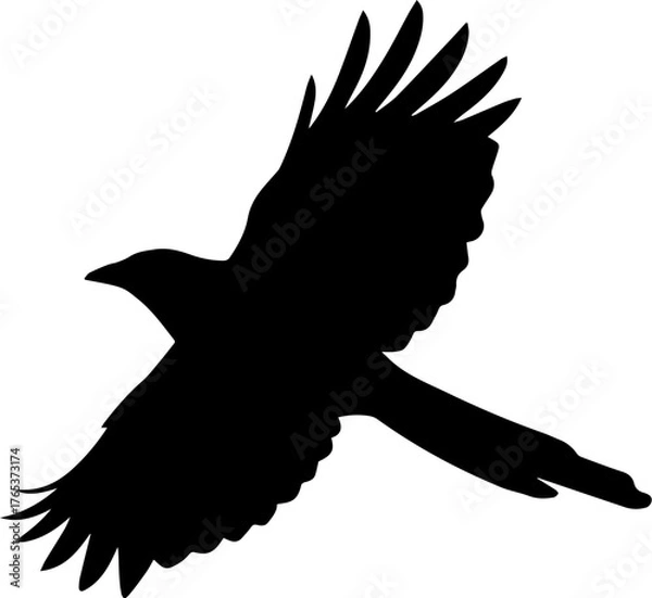 Fototapeta 까치 실루엣